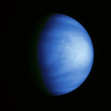 Venus Moons